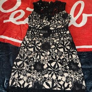 Elegant Black Lace Dress